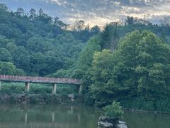 -重庆医科大学附属第一医院(金山院区)