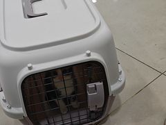 -佳雯宠物医院·皮肤科·内外科(春晓路分院)