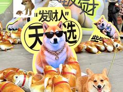 -开元商城(西旺店)