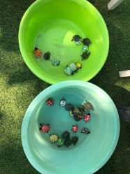 -萌宠亲子动物乐园(槐房万达店)