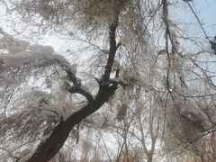 -水磨沟公园