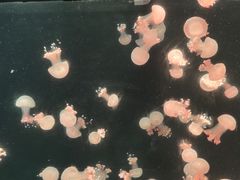 -南京金牛湖风景区