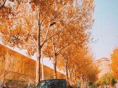 -辽东学院(南校区)