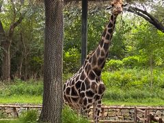 -北京野生动物园