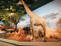 -陕西自然博物馆