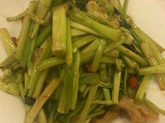 -橘子洲头湘菜馆