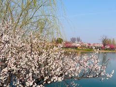 -泗洪洪泽湖湿地景区