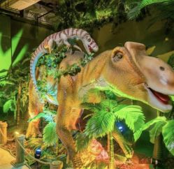 -恐龙探索乐园(磁器口店)
