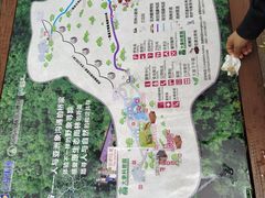 -野象谷景区