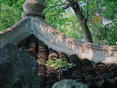 -绮园景区