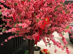 -重庆观音桥华美达安可酒店