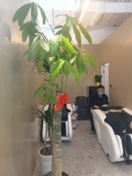 -I+造型烫发染发