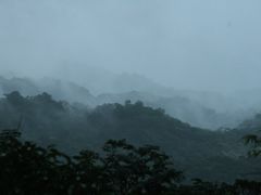 -海南热带雨林国家公园吊罗山景区