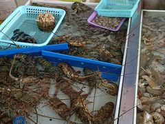 -大湾区中央湿地公园-十九涌
