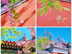 -北京艺术博物馆(万寿寺)