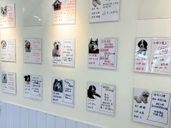 -汪说·狗咖·拼豆·宠物周边DIY(旺城大厦店)
