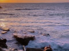 -南紀白浜 浜千鳥の湯 海舟