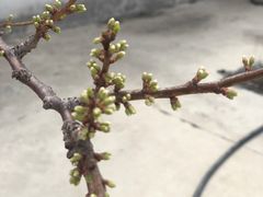 -庆岭迎宾园正宗活鱼馆