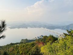 -千岛湖天屿景区