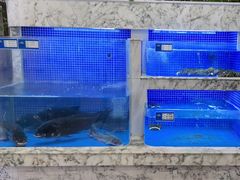 -香山湖渔家大院