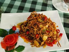-草根堂农场