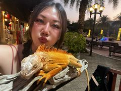 -清迈夜间动物园