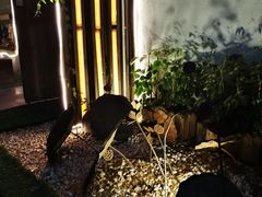 -五观堂素食(新华路店)