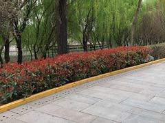 -西安汉城湖景区