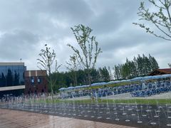 -黄海国家森林公园