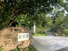 -深圳仙湖植物园