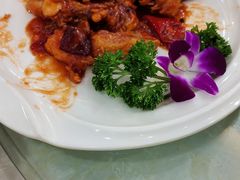 -源港渔村-中山脆肉鲩(博罗店)