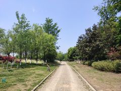 -白鹭湾湿地公园