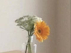 -浅森·龙凤筋SPA·私域调理