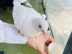-常州淹城野生动物世界
