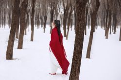 点击看大图 -美云庭古装·格格服汉服·京城旅拍(北京店)