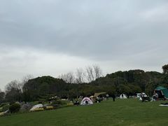 -恒生万鹂广场(唐镇店)