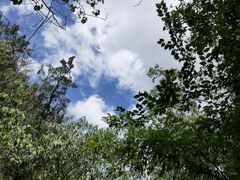 -函谷关历史文化旅游区