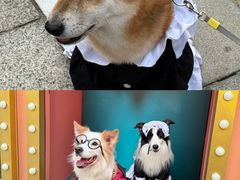 -华谊兄弟（长沙）电影小镇