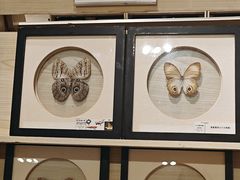 -深圳龙华星河COCO City(民治店)