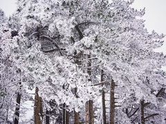 -安吉龙王山风景区