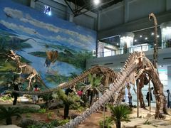 -自贡恐龙博物馆