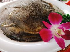 -二荆条·蜀鲜汇城市森林火锅