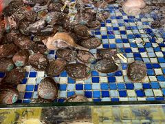 -顺德了能馆(虎门店)