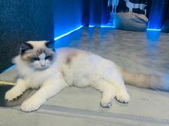 -零纪元VR体验馆·桌游(黄浦店)