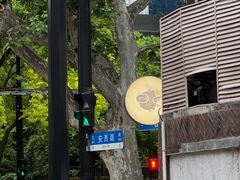 -WHEN PIGS FLY当猪飞