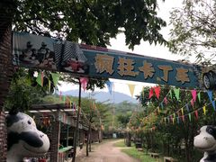 -田野绿世界