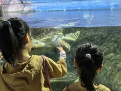 -福州罗源湾海洋世界旅游区