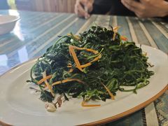 凉拌苜蓿-阿吾丹的烤羊·新疆菜·抓饭·拌面(乌尔禾店)