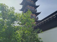 -嘉定紫藤园