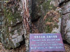 -汤旺河林海奇石景区